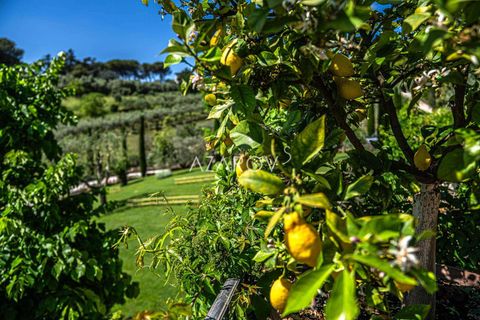Villa a Mentana, Rome, Mentana - € 4.500.000 | Ref: 5983 - foto 10