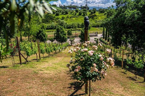 Villa a Mentana, Rome, Mentana - € 4.500.000 | Ref: 5983 - foto 22