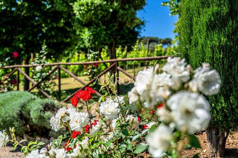 Villa a Mentana, Rome, Mentana - € 4.500.000 | Ref: 5983 - foto 28