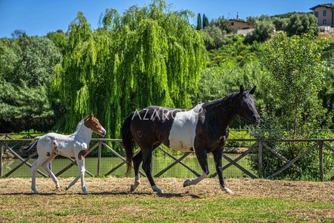 Villa a Mentana, Rome, Mentana - € 4.500.000 | Ref: 5983 - foto 30