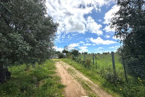 Helårsgrund i Albufeira, Faro, Albufeira - € 350.000 | Ref: NC212 - foto 3