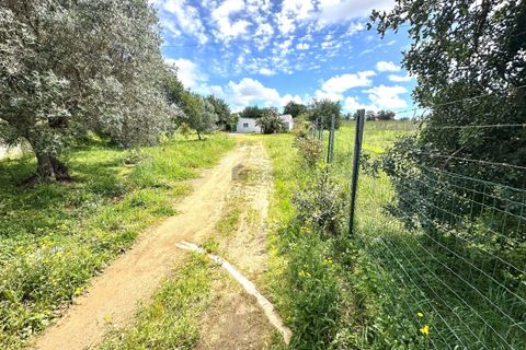 Helårsgrund i Albufeira, Faro, Albufeira - € 350.000 | Ref: NC212 - foto 4