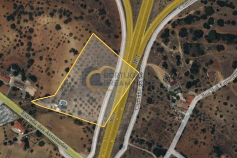 Helårsgrund i Albufeira, Faro, Albufeira - € 350.000 | Ref: NC212 - foto 5