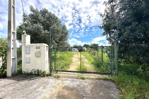 Helårsgrund i Albufeira, Faro, Albufeira - € 350.000 | Ref: NC212 - foto 6
