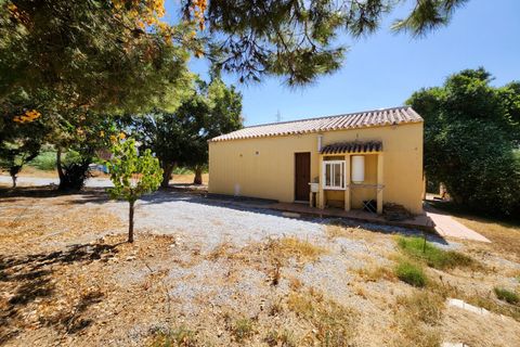 Landejendom i Nerja, Malaga, Nerja - € 475.000 | Ref: 2815 - foto 12