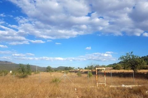 Helårsgrund i Monovar, Alicante, Monovar - € 69.999 | Ref: P5380 - foto 2