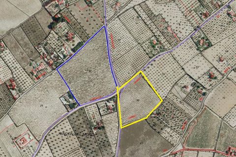 Helårsgrund i Sax, Alicante, Sax - € 140.000 | Ref: P5256 - foto 3