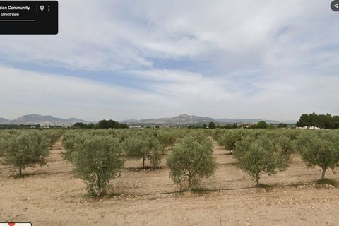 Helårsgrund i Sax, Alicante, Sax - € 140.000 | Ref: P5256 - foto 5