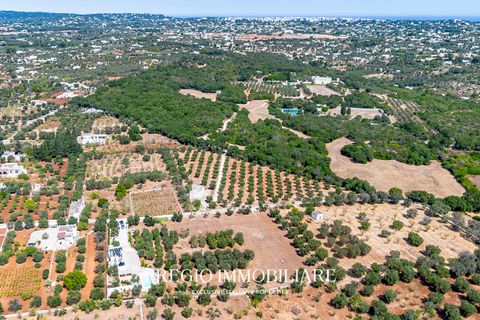 Villa i Ostuni, Brindisi, Ostuni - € 750.000 | Ref: 9113RV250481 - foto 12