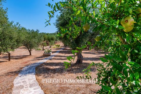 Villa i Ostuni, Brindisi, Ostuni - € 750.000 | Ref: 9113RV250481 - foto 27