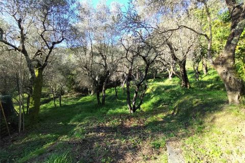 Villa a Luni, La Spezia, Luni - € 250.000 | Ref: 107973 - foto 2