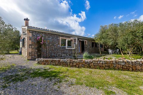 Landejendom i Manacor, Mallorca, Manacor - € 675.000 | Ref: MAL68297 - foto 6