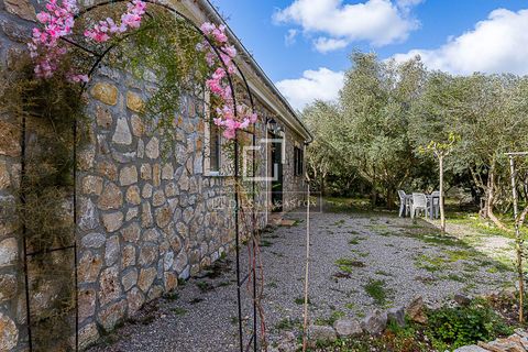 Landejendom i Manacor, Mallorca, Manacor - € 675.000 | Ref: MAL68297 - foto 27