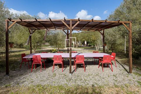Landejendom i Manacor, Mallorca, Manacor - € 675.000 | Ref: MAL68297 - foto 31