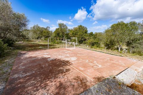 Landejendom i Manacor, Mallorca, Manacor - € 675.000 | Ref: MAL68297 - foto 33