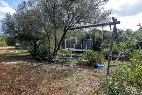 Landejendom i Manacor, Mallorca, Manacor - € 675.000 | Ref: MAL68297 - foto 34