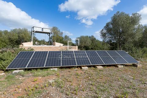 Landejendom i Manacor, Mallorca, Manacor - € 675.000 | Ref: MAL68297 - foto 36