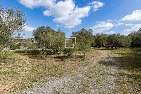 Landejendom i Manacor, Mallorca, Manacor - € 675.000 | Ref: MAL68297 - foto 37