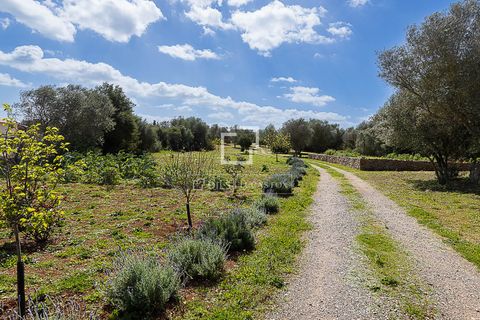 Landejendom i Manacor, Mallorca, Manacor - € 675.000 | Ref: MAL68297 - foto 38