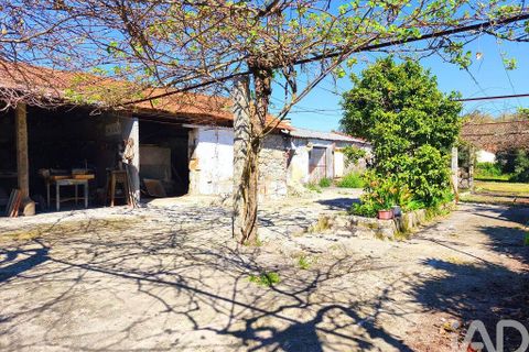 Byhus i Viana do Castelo, Viana do Castelo, Viana do Castelo - € 318.500 | Ref: 861190 - foto 26