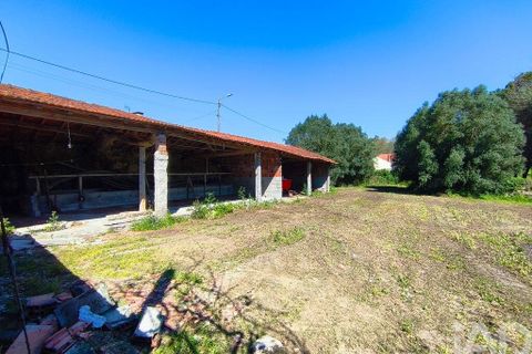 Byhus i Viana do Castelo, Viana do Castelo, Viana do Castelo - € 318.500 | Ref: 861190 - foto 30