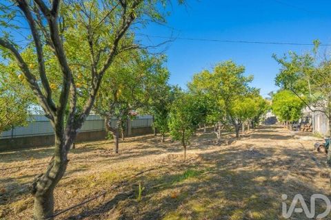 Byhus i Palmela, Setubal, Palmela - € 595.000 | Ref: 860820 - foto 4