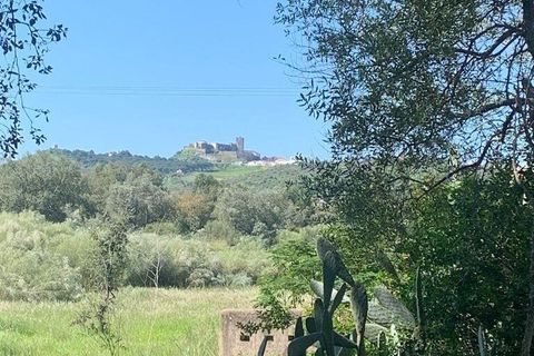 Terra a Palmela, Setubal, Palmela - € 2.950.000 | Ref: 847844 - foto 4