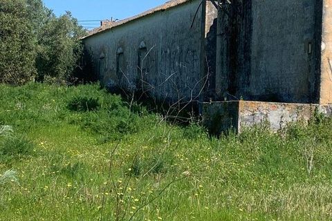 Terra a Palmela, Setubal, Palmela - € 2.950.000 | Ref: 847844 - foto 5