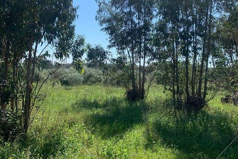 Terra a Palmela, Setubal, Palmela - € 2.950.000 | Ref: 847844 - foto 11