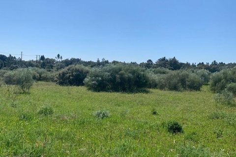Terra a Palmela, Setubal, Palmela - € 2.950.000 | Ref: 847844 - foto 12