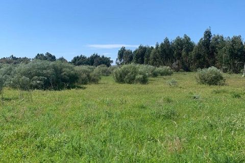 Terra a Palmela, Setubal, Palmela - € 2.950.000 | Ref: 847844 - foto 13