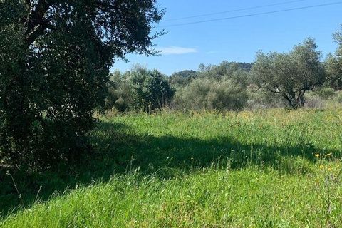Terra a Palmela, Setubal, Palmela - € 2.950.000 | Ref: 847844 - foto 14