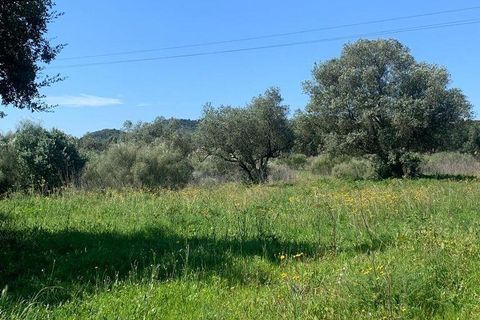 Terra a Palmela, Setubal, Palmela - € 2.950.000 | Ref: 847844 - foto 15
