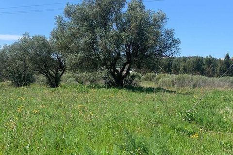 Terra a Palmela, Setubal, Palmela - € 2.950.000 | Ref: 847844 - foto 16