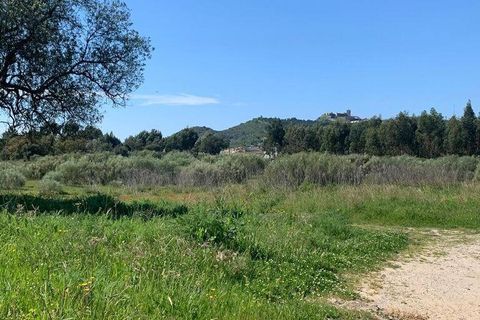 Terra a Palmela, Setubal, Palmela - € 2.950.000 | Ref: 847844 - foto 17