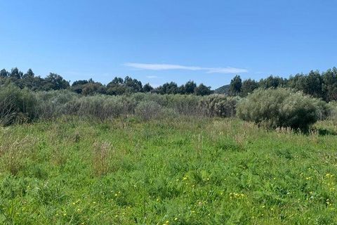 Terra a Palmela, Setubal, Palmela - € 2.950.000 | Ref: 847844 - foto 18