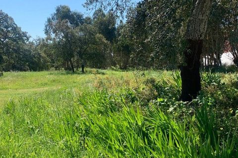 Terra a Palmela, Setubal, Palmela - € 2.950.000 | Ref: 847844 - foto 19