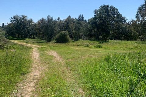 Terra a Palmela, Setubal, Palmela - € 2.950.000 | Ref: 847844 - foto 20