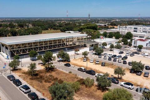 Terra a Palmela, Setubal, Palmela - € 2.950.000 | Ref: 847844 - foto 22