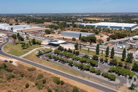 Terra a Palmela, Setubal, Palmela - € 2.950.000 | Ref: 847844 - foto 25