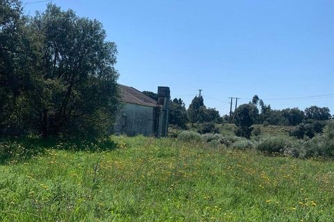 Terra a Palmela, Setubal, Palmela - € 2.950.000 | Ref: 847844 - foto 26