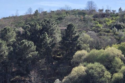 Granja a Armamar, Viseu, Armamar - € 975.000 | Ref: 852588 - foto 24