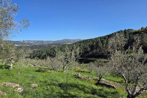 Granja a Armamar, Viseu, Armamar - € 975.000 | Ref: 852588 - foto 25