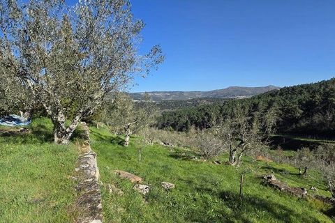 Granja a Armamar, Viseu, Armamar - € 975.000 | Ref: 852588 - foto 26