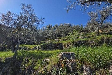Granja a Armamar, Viseu, Armamar - € 975.000 | Ref: 852588 - foto 27