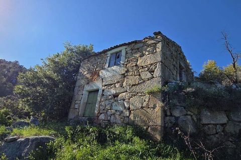 Granja a Armamar, Viseu, Armamar - € 975.000 | Ref: 852588 - foto 29