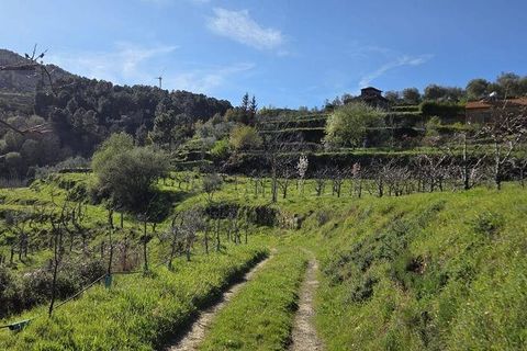 Granja a Armamar, Viseu, Armamar - € 975.000 | Ref: 852588 - foto 32