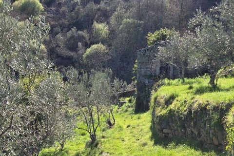 Granja a Armamar, Viseu, Armamar - € 975.000 | Ref: 852588 - foto 34