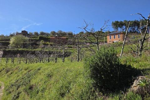 Granja a Armamar, Viseu, Armamar - € 975.000 | Ref: 852588 - foto 36