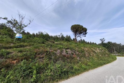 Terra a Guimaraes, Braga, Guimaraes - € 125.000 | Ref: 848339 - foto 13